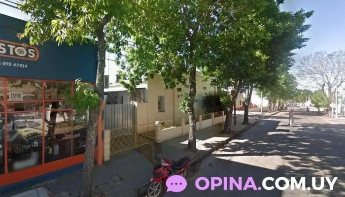 Mundo Repuestos - 70300 Nueva Helvecia