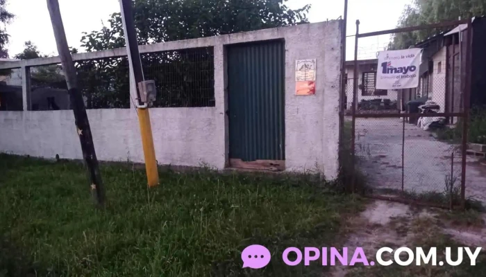 N.s sublimación - Caraguatá