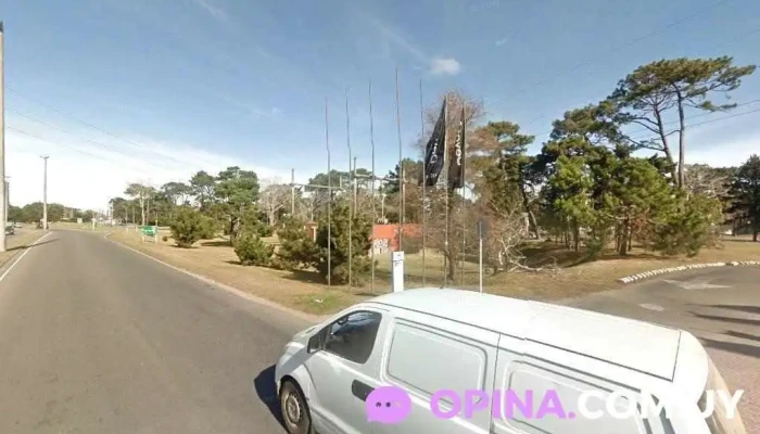 Neumater - 20000 Punta Del Este