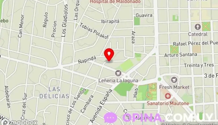 mapa de Nexos. Centro Académico Escuela en Maldonado
