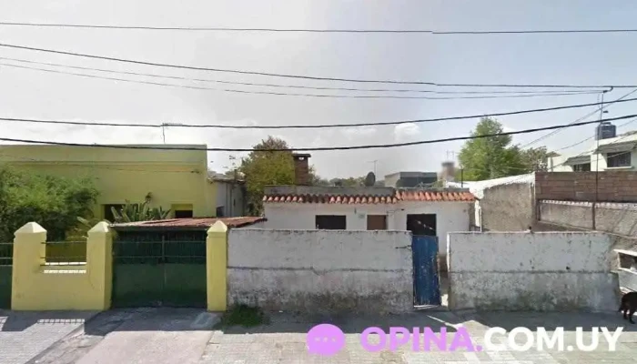 Nimino Didácticos - Montevideo