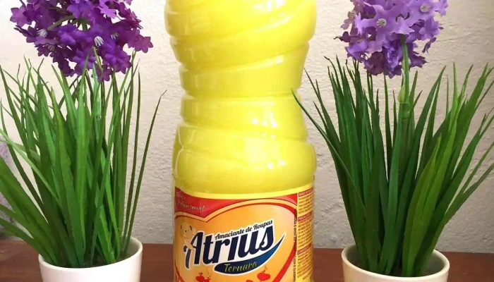 Nj El Reencuentro Importador Mayorista - Joaquín Artigas Esquina