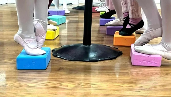 Nova Ballet Mirza Folco -  Del Propietario - Montevideo