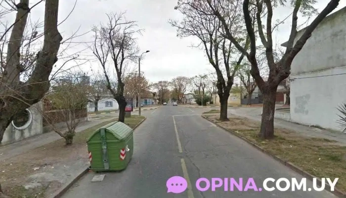 Olaso Negocios Inmobiliarios - Montevideo