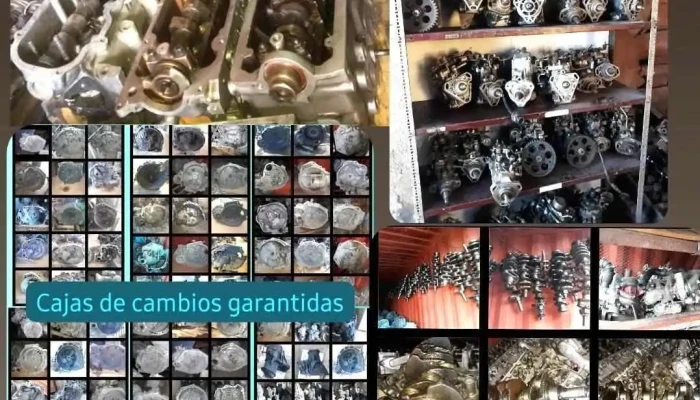 Olivera Autopartes Juanicó - Canelones