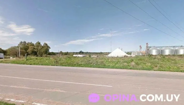 Ontemar (Frigofrut) - 70700 Nueva Palmira