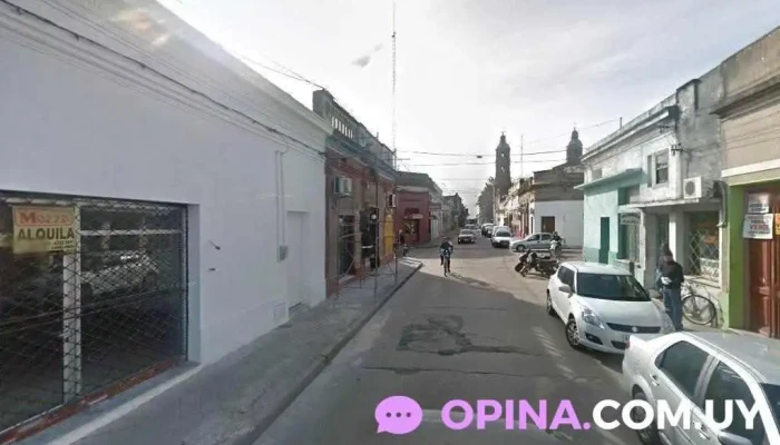 Organización Salhón - Batlle Y Ordoñez