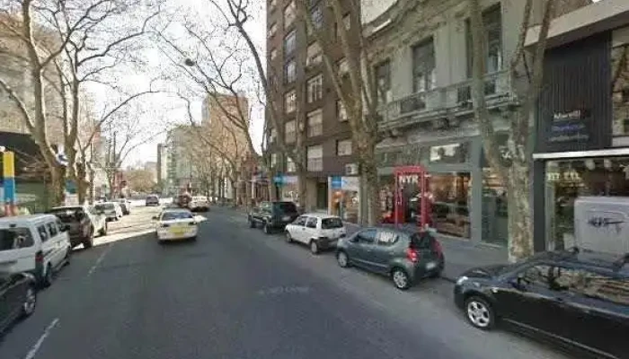 Oruga Libros -  Telefonodeg - Montevideo