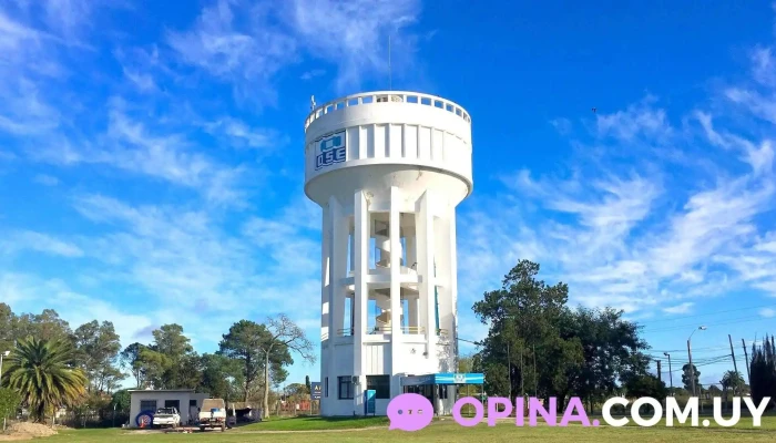 Ose - Ives Chevantòn