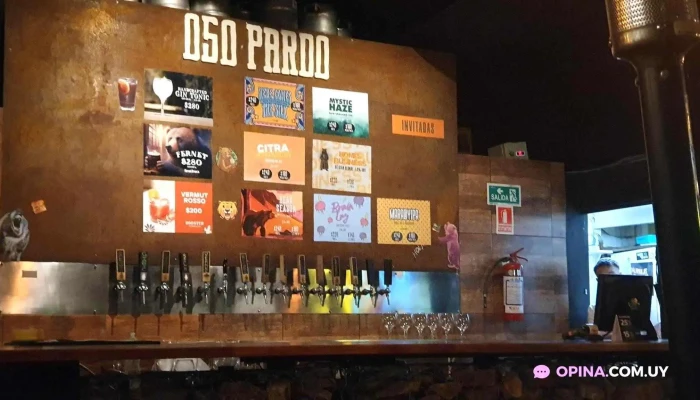 Oso Pardo:  Ambiente - Cervecería artesanal