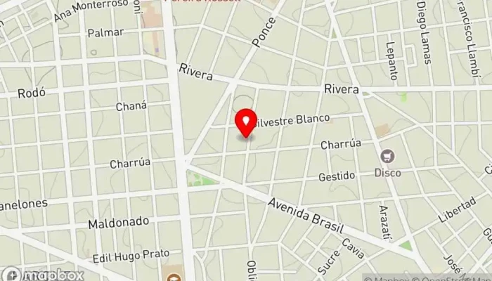 mapa de Oso Pardo Cervecería artesanal, Bar, Cervecería al aire libre, Fábrica de cerveza en Montevideo