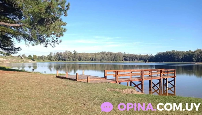 Oveja Negra Campers - Montevideo