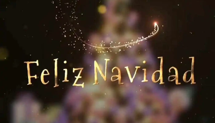 P. Amaro propiedades - Florida