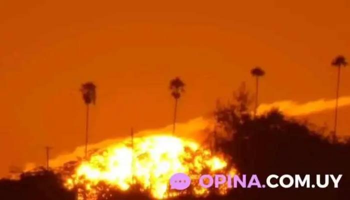 Pa -  Kua Uruguay Liga Internacional Del Propietario - Montevideo