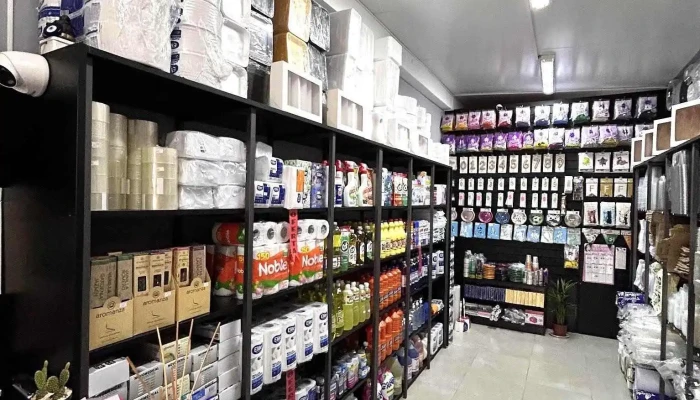 Packingya Interior - Tala