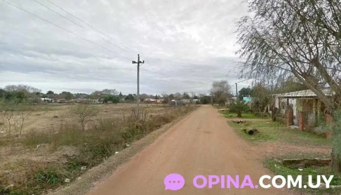 Padrón 7802 - Guaranies