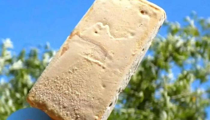 Paletas Oddy:  Helado - Heladería