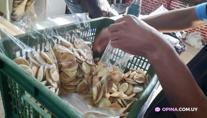 Pan De Vida:  Panaderia Del Propietario