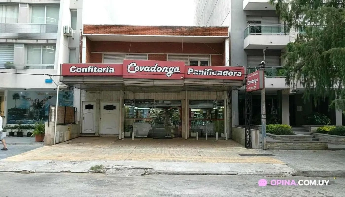 Panaderia Confiteria Covadonga Todas - Panadería