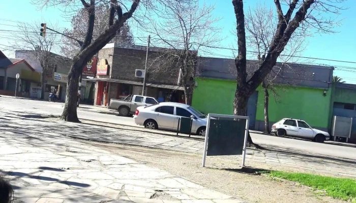 Panaderia Don Francisco:  Todo