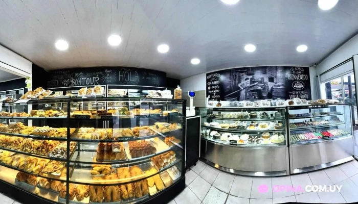 Panaderia El Nuevo Molino:  Todo - Panadería