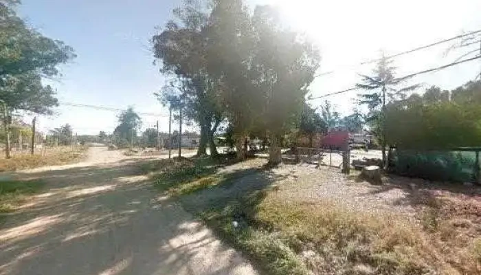 Panaderia La Raiz Street View Y 360 - Panadería