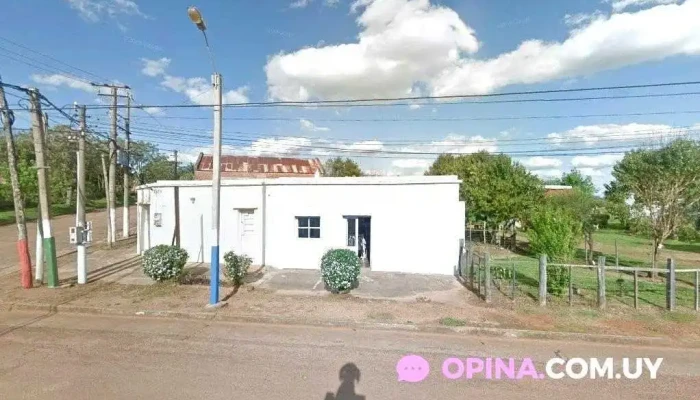 Panaderia Las Peques Blanquillo