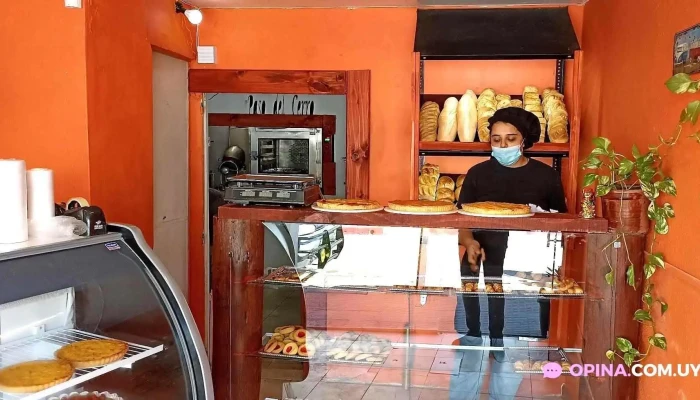 Panaderia Paso Del Cerro Ambiente