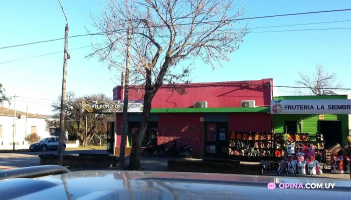 Panaderia San Cono:  Todo - Panadería