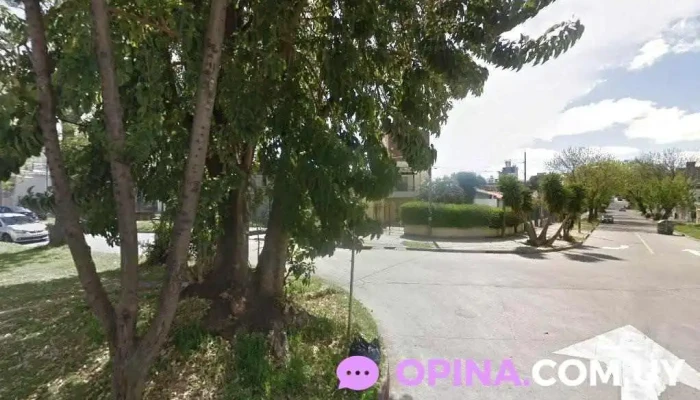 Panadería y Confitería Itálica - 11400 Montevideo