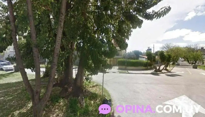 Panadería y Confitería Itálica - 11400 Montevideo