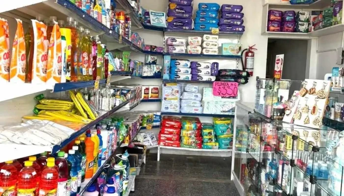 Panalera Lilibel Sitio Web - Barros Blancos