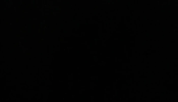 Panalera Y Papeleria Pekes Villa Del Carmen - Villa del Carmen