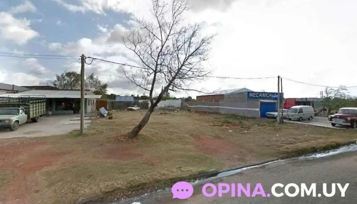 Panda barber - Blvr. Gral. Artigas