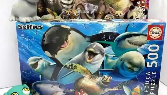 Papelarte -  Del Propietario - Pando