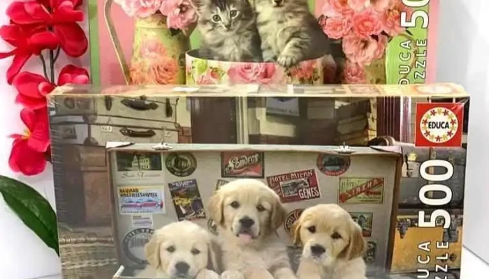 Papelarte -  Interior - Pando