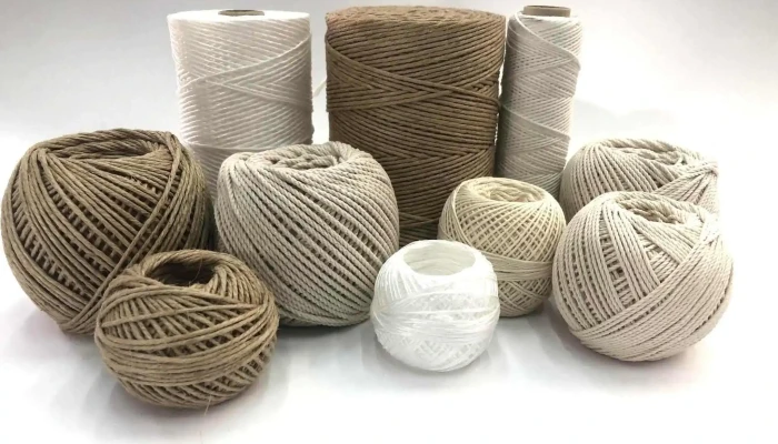 Papeleria El Dragon Del Propietario - Montevideo