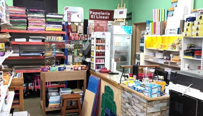 Papeleria El Liceal -  Interior - Artigas