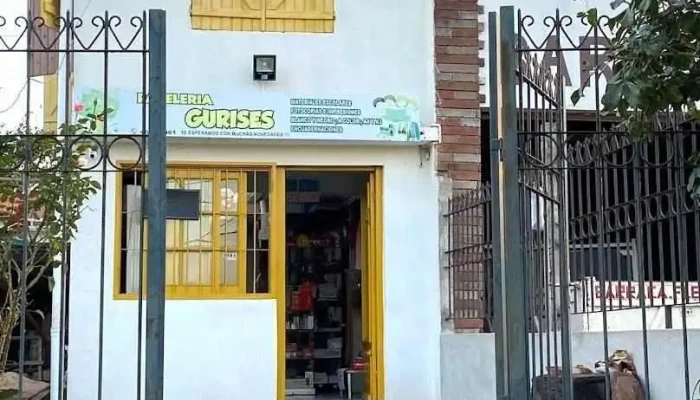 Papeleria gurises - Rivera