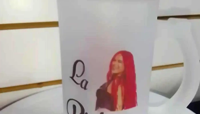 Papeleria Libelula Interior - Minas