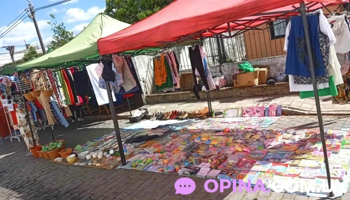 Papeleria Mi Angel Opiniones - Rocha