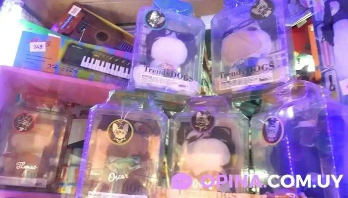 Papeleria Mita -  Interior - Pando