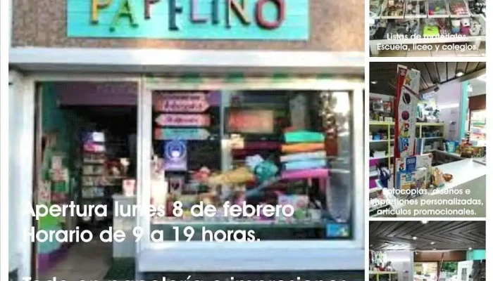 Papeleria Papelino - San Carlos