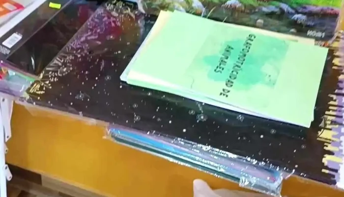 Papeleria Y Regaleria Girasoles Videos - Artigas