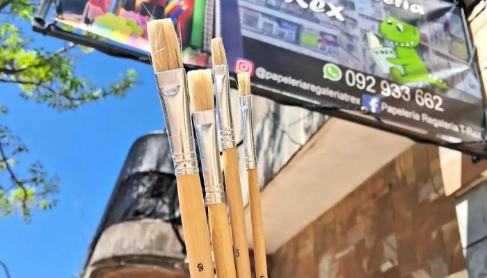 Papeleria Y Regaleria T Rex Abierto Ahora - Tacuarembó