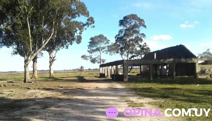 Parador Viejo Delta Del Tigre - Ciudad Del Plata