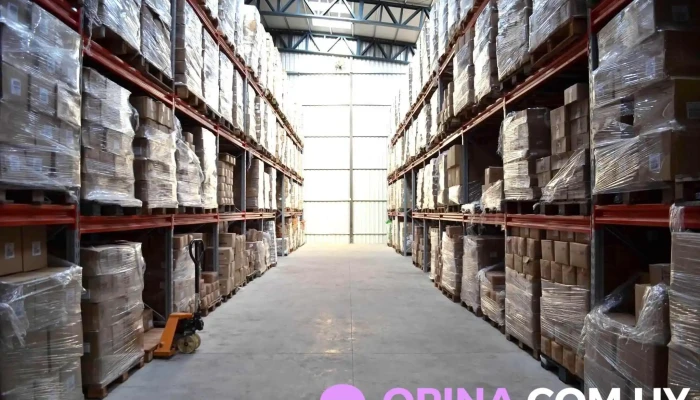 Paraíso Importa y Distribuye - 15600 Empalme Olmos