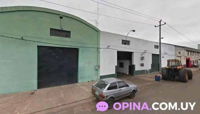 Parmalat Salto - 50000 Salto