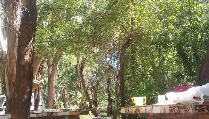 Parque Alfonso Junior - Ciudad De La Costa