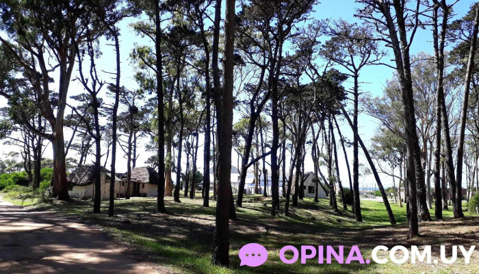 Parque Andresito - La Paloma